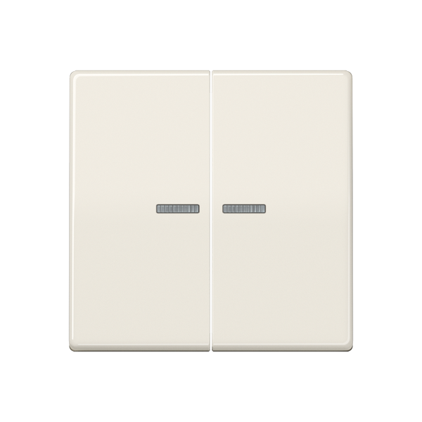 KNX RF centre plate 2-gang AS10921STRF image 1