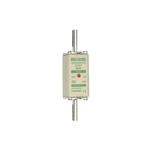 Fuse-link NH0 aM 690VAC 40A live tags Double indicator image 2