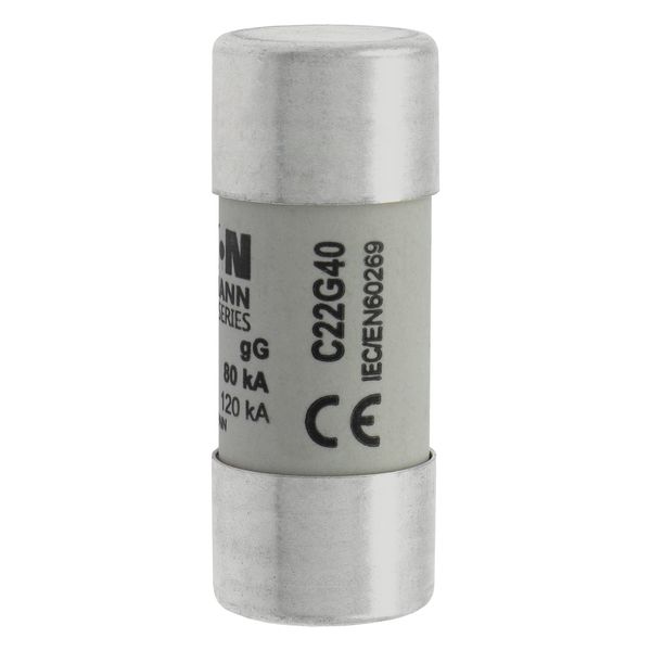 Fuse-link, LV, 40 A, AC 690 V, 22 x 58 mm, gL/gG, IEC image 19