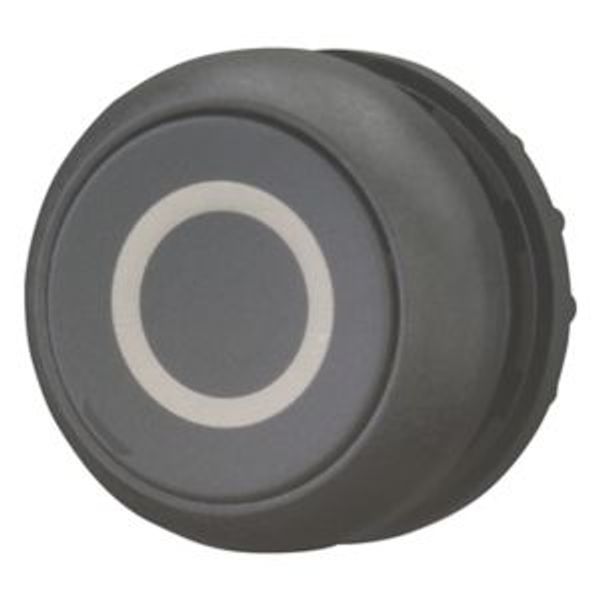 Pushbutton, RMQ-Titan, Flat, maintained, black, inscribed, Bezel: black image 2