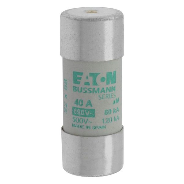 Fuse-link, LV, 40 A, AC 690 V, 22 x 58 mm, aM, IEC, with striker image 8