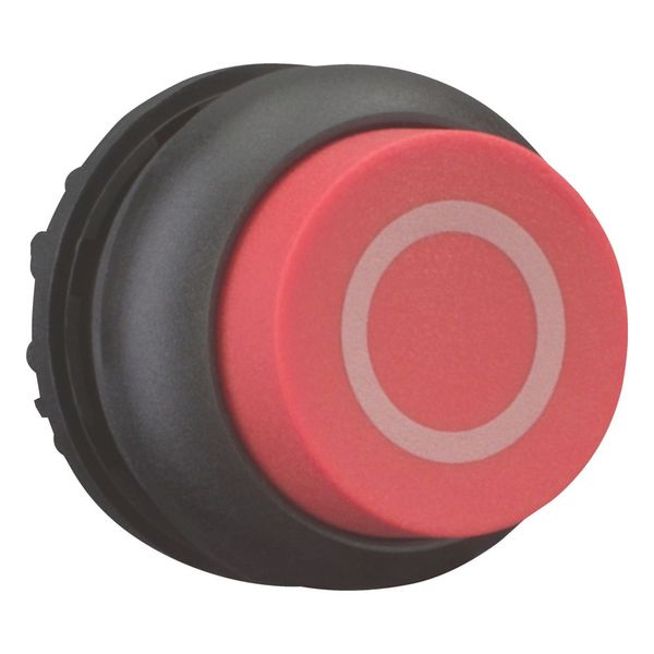 Pushbutton, RMQ-Titan, Extended, maintained, red, inscribed, Bezel: black image 6