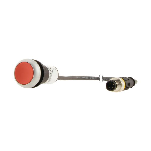 Pushbutton, Flat, momentary, 1 NC, Cable (black) with M12A plug, 4 pole, 0.5 m, red, Blank, Bezel: titanium image 6