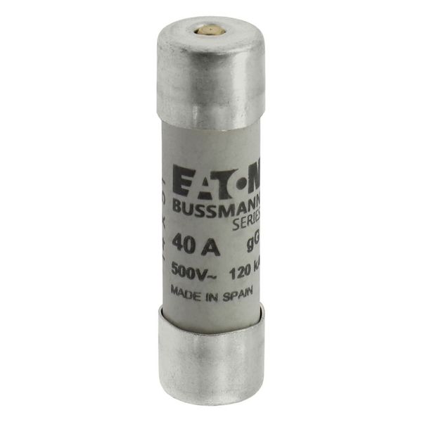 Fuse-link, LV, 40 A, AC 500 V, 14 x 51 mm, gL/gG, IEC, with striker image 18