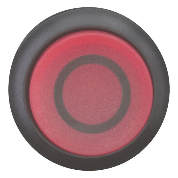 Illuminated pushbutton actuator, RMQ-Titan, Extended, momentary, red, inscribed, Bezel: black image 9