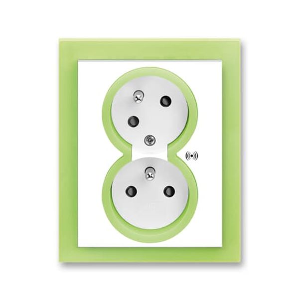 5583M-C02357 42 Double socket outlet with earthing pins, shuttered, with turned upper cavity, with surge protection image 45