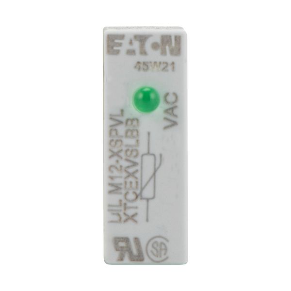Varistor suppressor circuit, +LED, 24 - 48 AC V, For use with: DILM7 - DILM15, DILMP20, DILA image 8