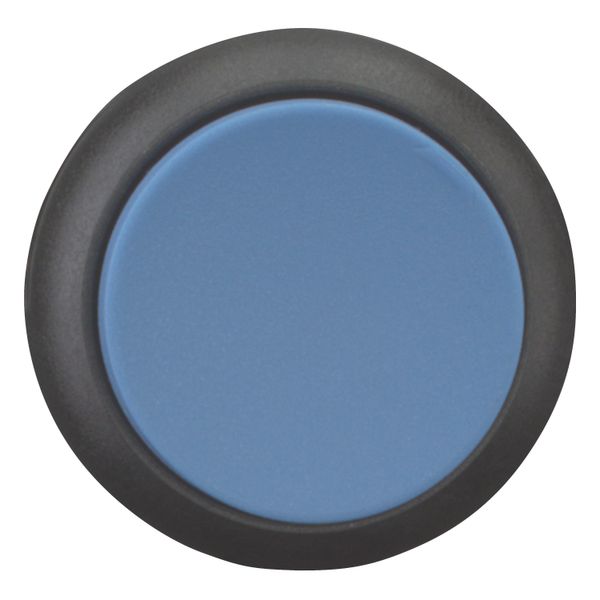 Pushbutton, RMQ-Titan, Extended, maintained, Blue, Blank, Bezel: black image 5