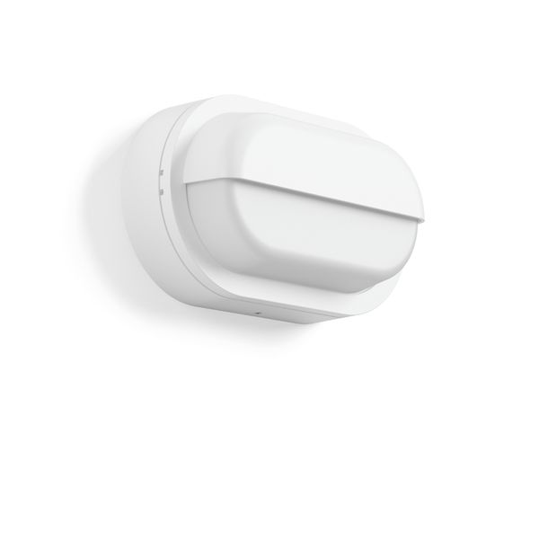 Alu-Lux oval, 12 W, 330 lm, 840, white, on/off Wall luminaires, L 258  image 1