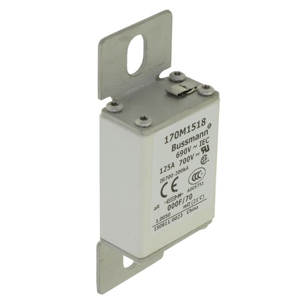 Fuse-link, high speed, 100 A, AC 690 V, size 000, 24 x 36 x 96 mm, aR, IEC, visual indicator image 25