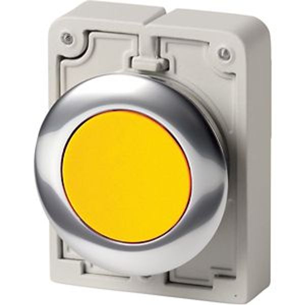 Pushbutton, RMQ-Titan, Flat, maintained, yellow, Blank, Metal bezel image 8