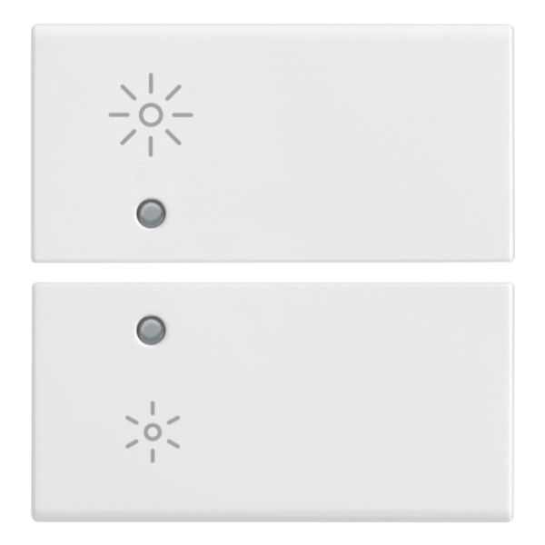 2 half buttons 2M regulation symb.white image 1