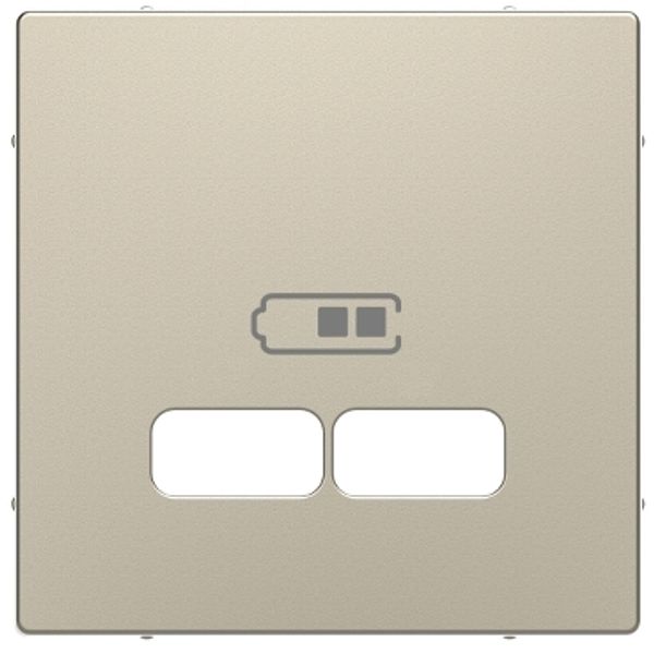 System Design central plate USB charger sahara image 3