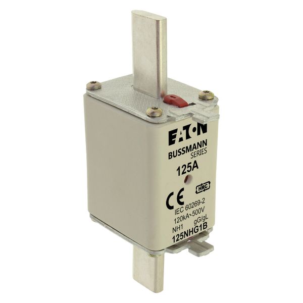 Fuse-link, low voltage, 125 A, AC 500 V, NH1, gL/gG, IEC, dual indicator image 9