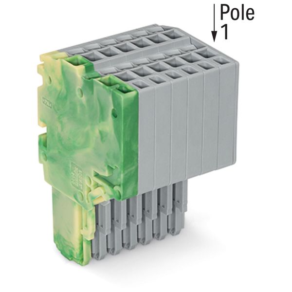 2-conductor female connector Push-in CAGE CLAMP® 1.5 mm² green-yellow/ image 2