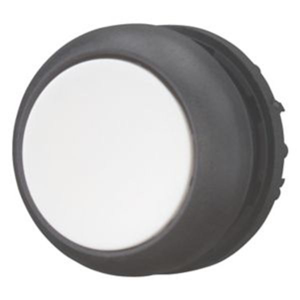 Pushbutton, RMQ-Titan, Flat, momentary, White, Blank, Bezel: black image 8