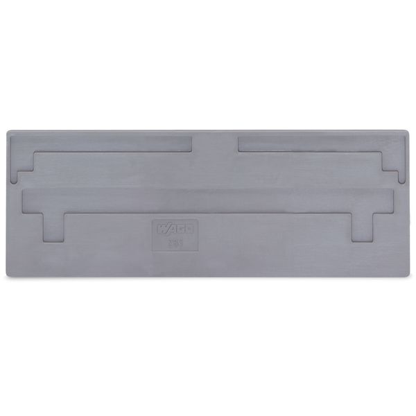 Separator plate 2 mm thick oversized gray image 2