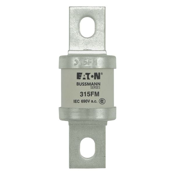 5.5KV 125E BHLE FUSE image 18