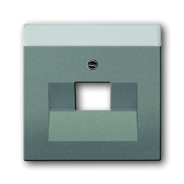 1803-803 CoverPlates (partly incl. Insert) Busch-axcent®, solo® grey metallic image 1