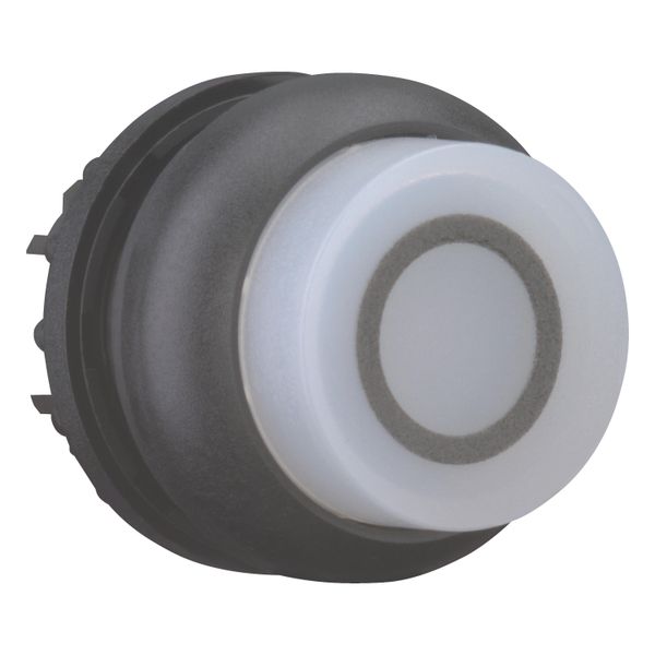 Illuminated pushbutton actuator, RMQ-Titan, Extended, maintained, White, inscribed 0, Bezel: black image 7