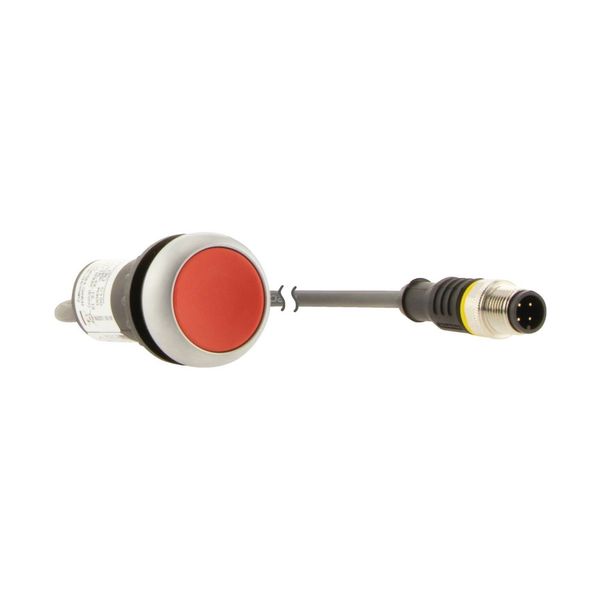 Pushbutton, Flat, momentary, 1 NC, Cable (black) with M12A plug, 4 pole, 0.5 m, red, Blank, Bezel: titanium image 16