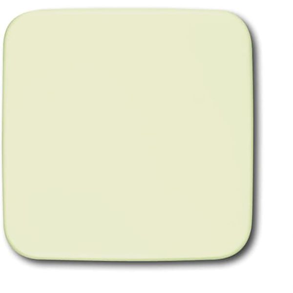 1576 C-212 CoverPlates (partly incl. Insert) carat® White image 1