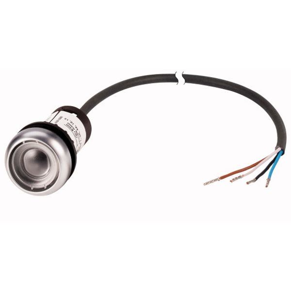 Pushbutton, Flat, momentary, 1 NC, 1 N/O, Cable (black) with non-terminated end, 4 pole, 3.5 m, Without button plate, Bezel: titanium image 1