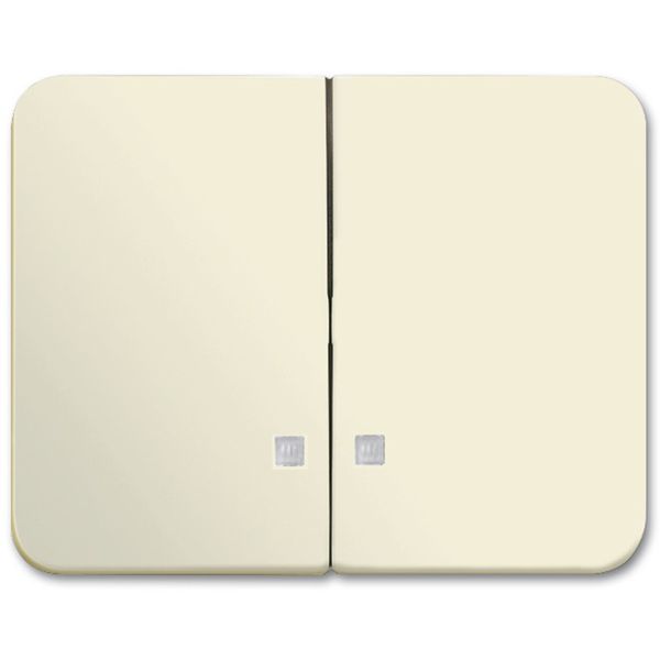1785 K-22G CoverPlates (partly incl. Insert) carat® ivory image 1