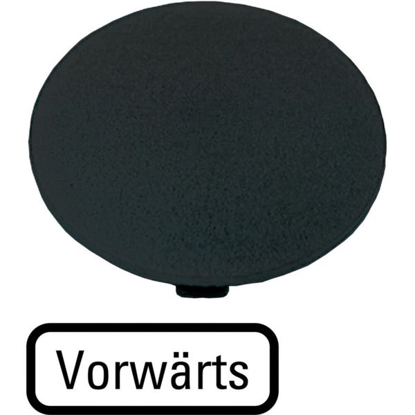 Button plate, mushroom black, FORWARDS image 6