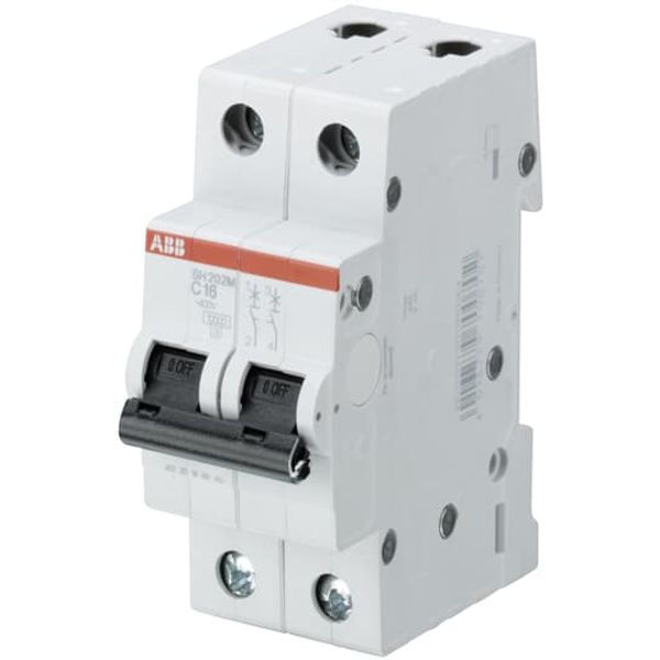 SH202M-C10 Miniature Circuit Breaker - 2P - C - 10 A image 1