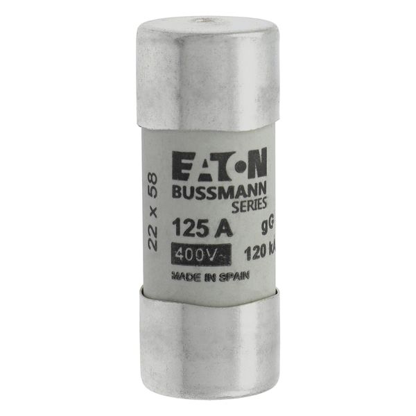 Fuse-link, LV, 125 A, AC 400 V, 22 x 58 mm, gL/gG, IEC, with striker image 9