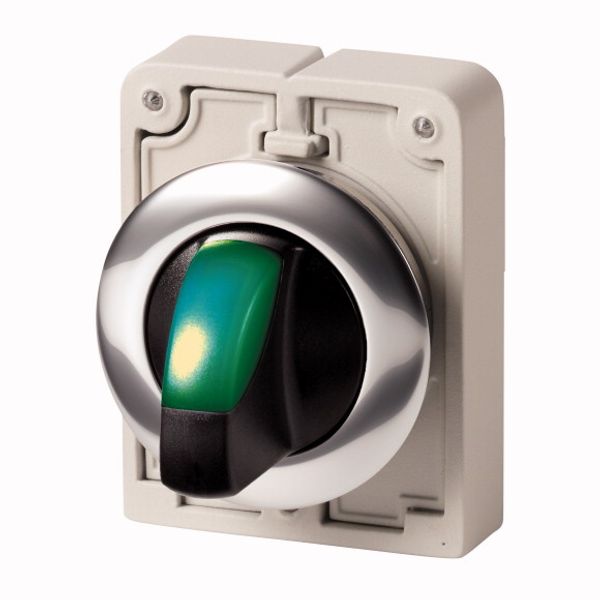 Illuminated selector switch actuator, RMQ-Titan, With thumb-grip, maintained, 2 positions, green, Metal bezel image 1