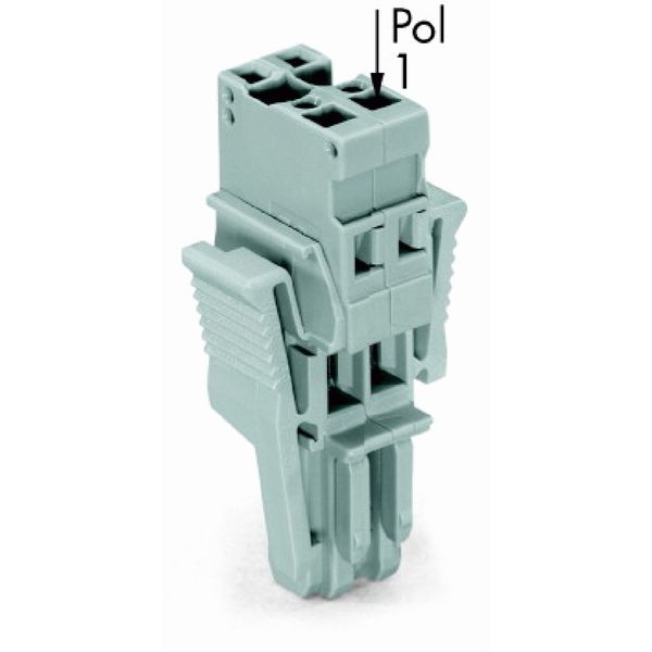 1-conductor female connector CAGE CLAMP® 4 mm² gray image 3