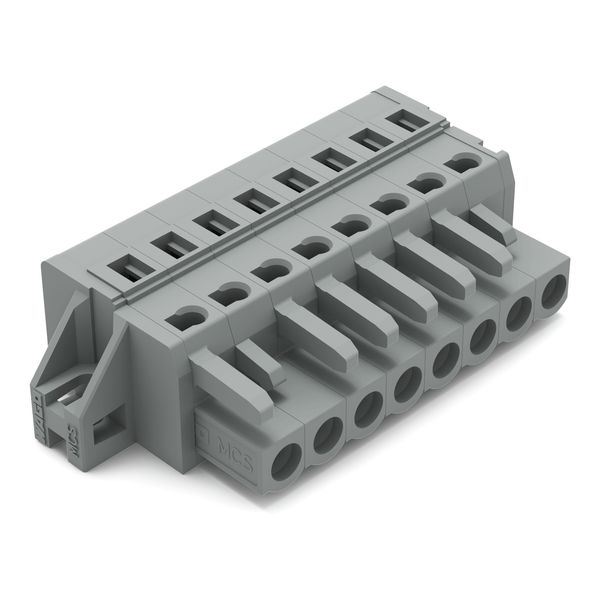 1-conductor female connector CAGE CLAMP® 2.5 mm² gray image 1