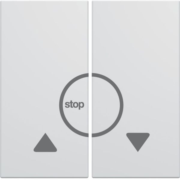 GALLERY ROLL BUTTON TILE 2 F. PURE image 1