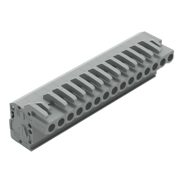 1-conductor female connector, angled CAGE CLAMP® 2.5 mm² gray image 1