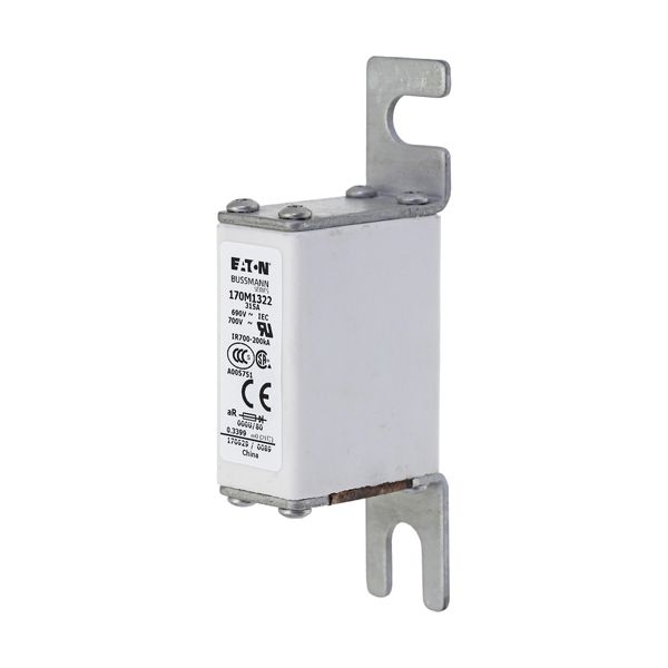 Fuse-link, high speed, 315 A, AC 690 V, DIN 000, 21 x 40 x 100 mm, aR, DIN, IEC image 3