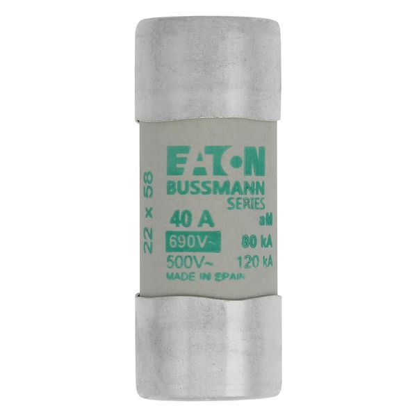 Fuse-link, LV, 40 A, AC 690 V, 22 x 58 mm, aM, IEC image 4