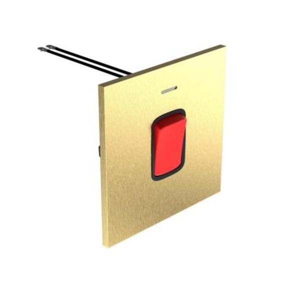 Art d'Arnould - 1 gang 45A switch double pole Epure - Brushed Gold image 1