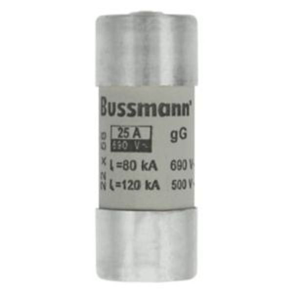 Fuse-link, LV, 25 A, AC 690 V, 22 x 58 mm, gL/gG, IEC, with striker image 5