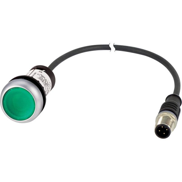 Illuminated pushbutton actuators, maintained, green, 24v, 1 N/O, with cable 1m and M12A plug image 3