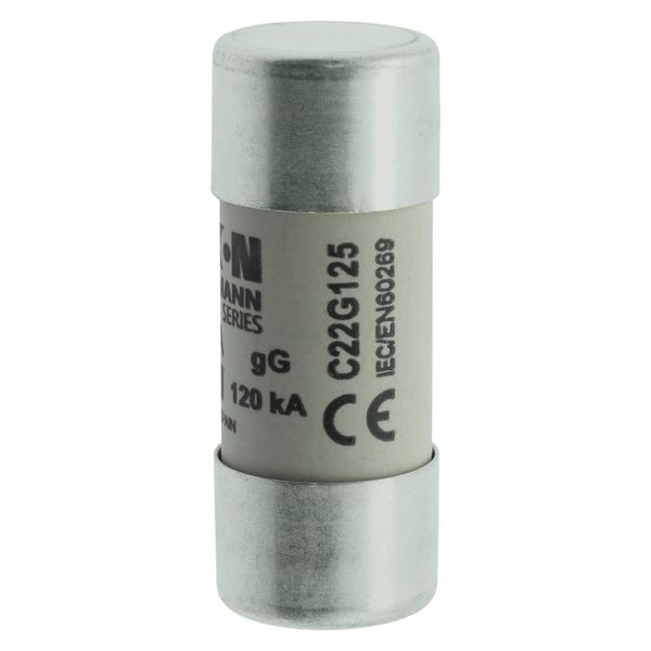 Fuse-link, LV, 125 A, AC 400 V, 22 x 58 mm, gL/gG, IEC image 7