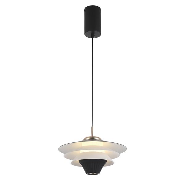 Pendant Light  Manley image 1