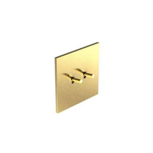 Art d'Arnould - 2 gang single pole switch Epure toggle type 10AX-250V - Brushed Gold image 1