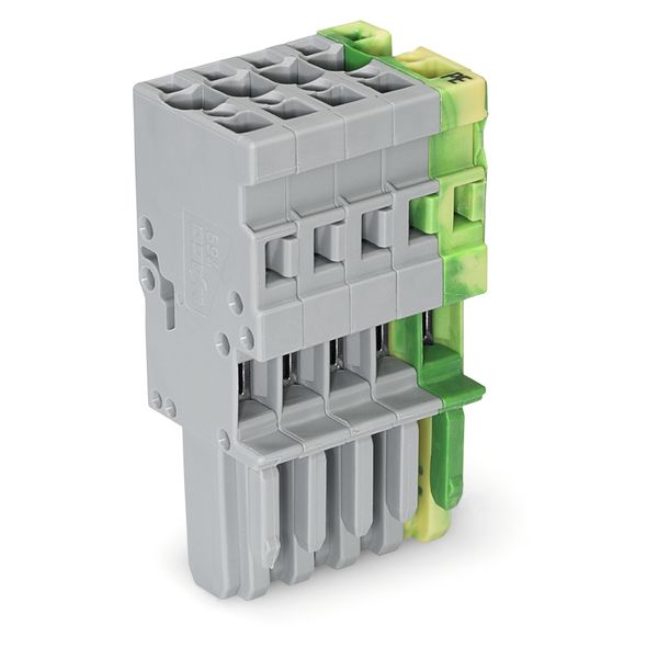 1-conductor female connector CAGE CLAMP® 4 mm² green-yellow/gray image 1