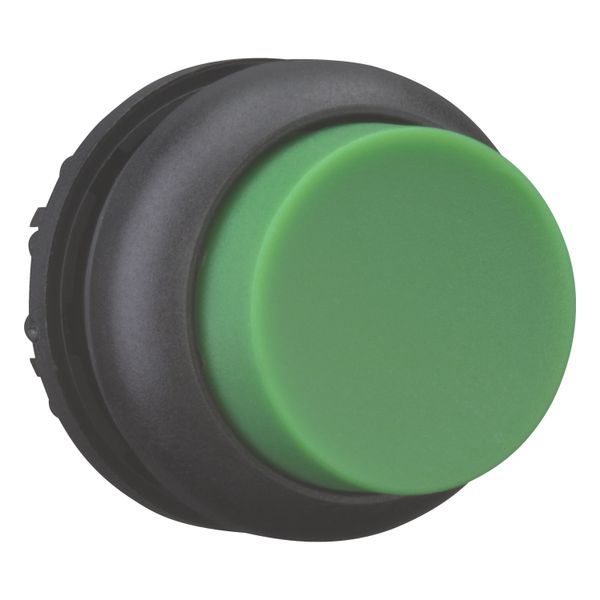 Pushbutton, RMQ-Titan, Extended, maintained, green, Blank, Bezel: black image 14