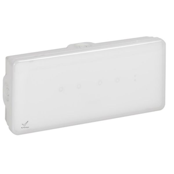 Emergency lighting luminaire B65LED Non Permanent 100lm 1h Autotest IP65 IK07 image 1