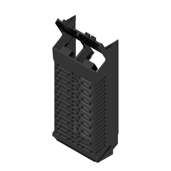 Side element, IP20 in installed state, Plastic, black, Width: 45.3 mm image 1