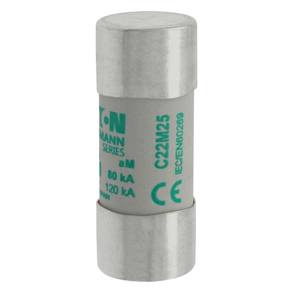 Fuse-link, LV, 25 A, AC 690 V, 22 x 58 mm, aM, IEC image 9