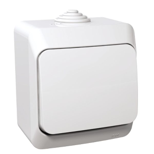 Cedar Plus - intermediate switch - 16AX, white image 2